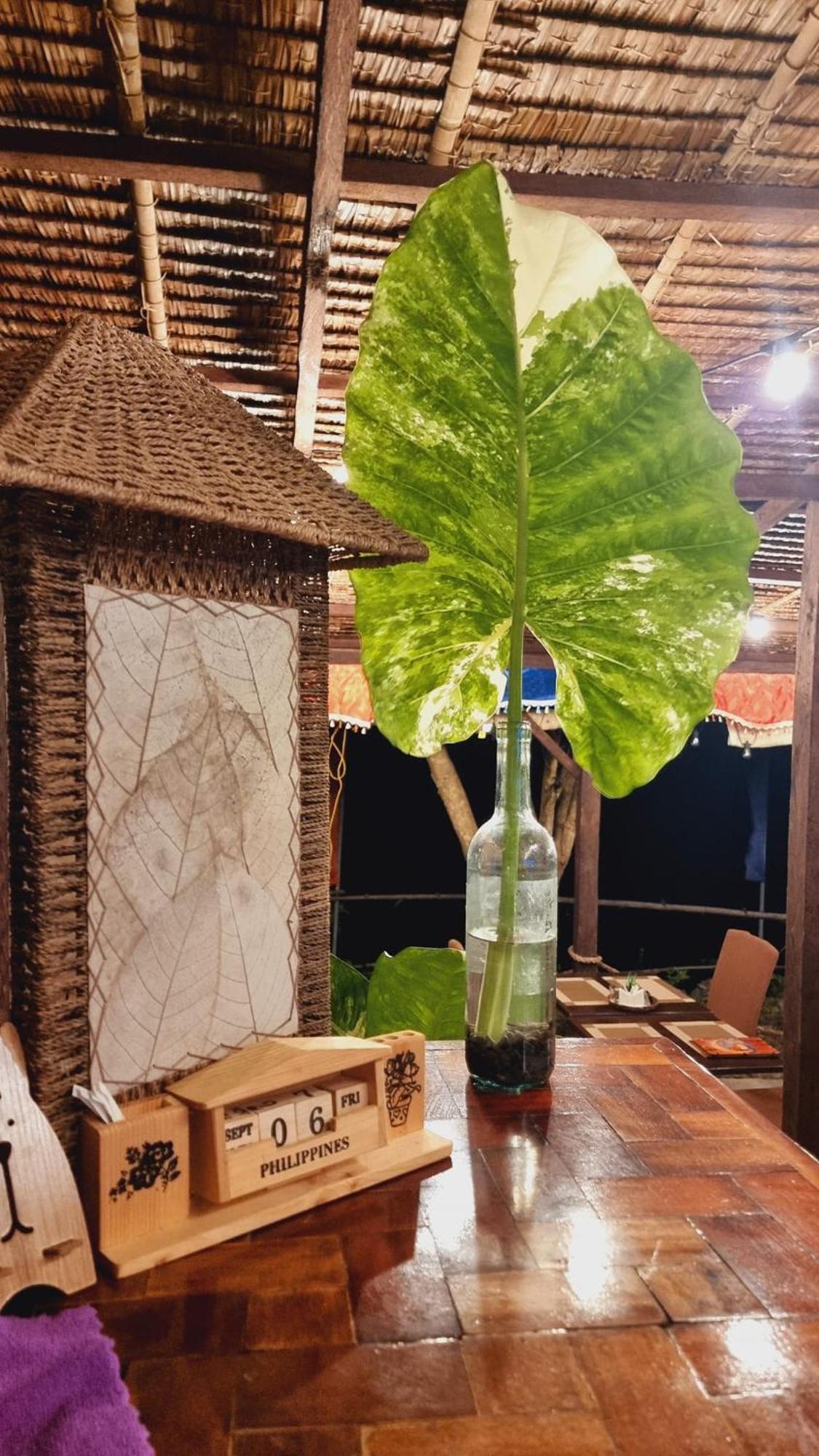 Hotel Jush Native And Glamping Dauis Zewnętrze zdjęcie